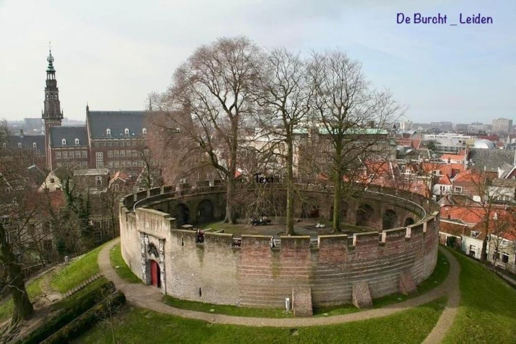 Number 8 * Leiden