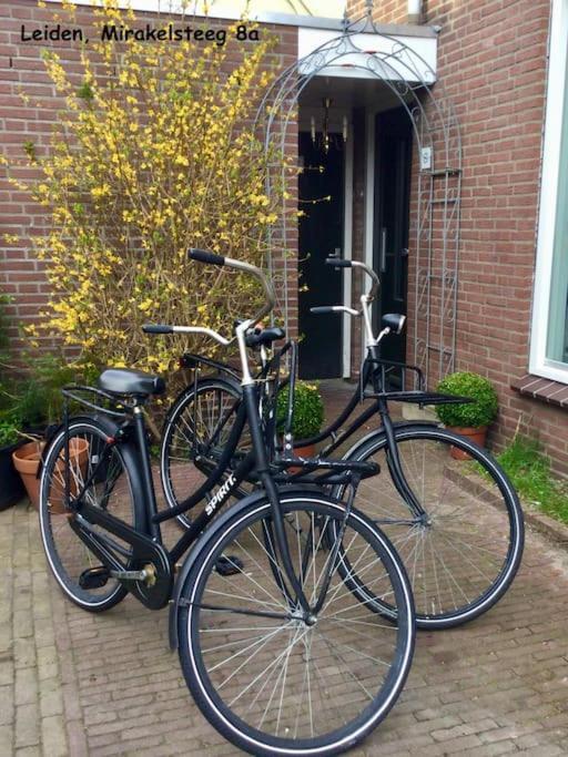 Apartment Number 8 Leiden